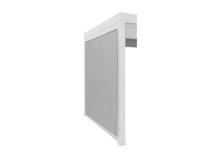 Vue 5