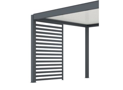 Vue 1