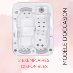 Spa d'occasion - Spa Titan Plug & Play - 3 Personnes